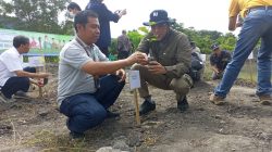 Penghijauan Hutan Pelambung, Tanam Ratusan Pohon Produktif