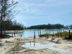 Reformasi Tata Kelola Tambang Timah di Bangka Belitung Dibedah