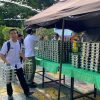 Dinas Pangan dan Pertanian Pangkalpinang Pastikan Pangan SPPG Aman,