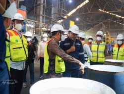 PT Timah pelopor pengembangan tanah jarang Indonesia