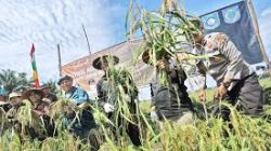 Disparbud Bangka Barat dampingi BUMDes kembangkan agrowisata