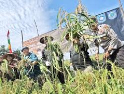 Disparbud Bangka Barat dampingi BUMDes kembangkan agrowisata